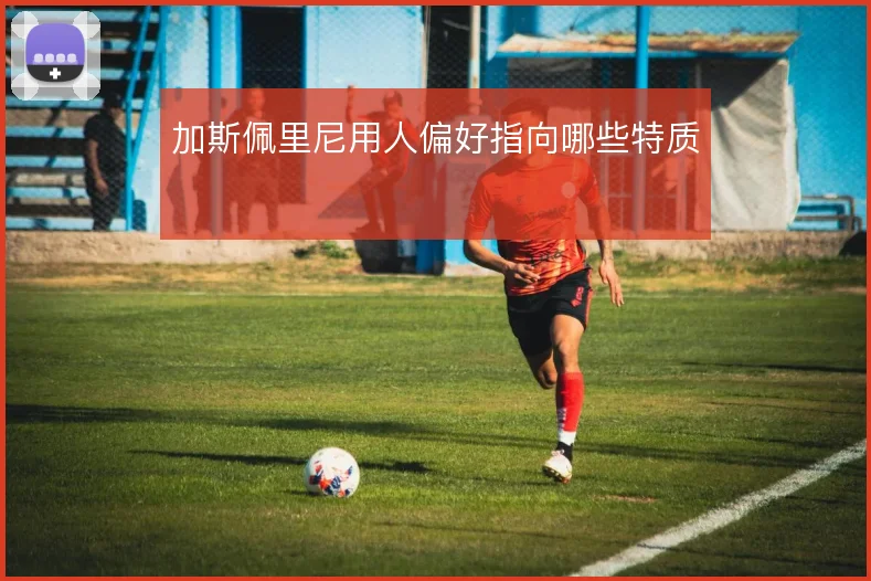 加斯佩里尼用人偏好指向哪些特质