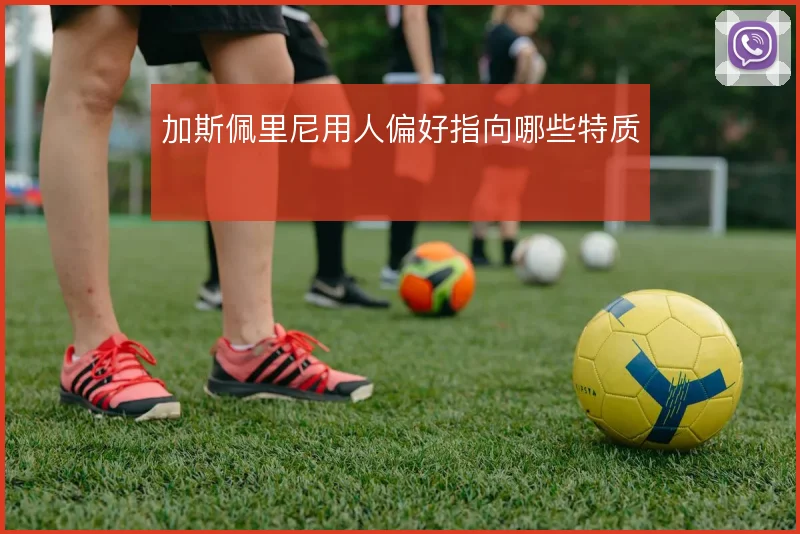 加斯佩里尼用人偏好指向哪些特质